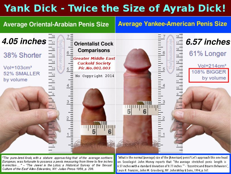 Pornstars dick size